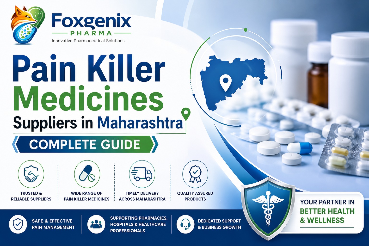 Pain Killer Medicines Suppliers in Maharashtra | Complete Guide