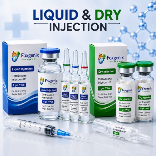 Liquid And Dry Injection Manufacturer in Baddi